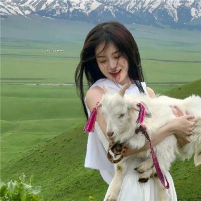 象牙山的好人们