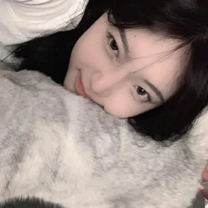怪医杜立德：百万美元笨蛋