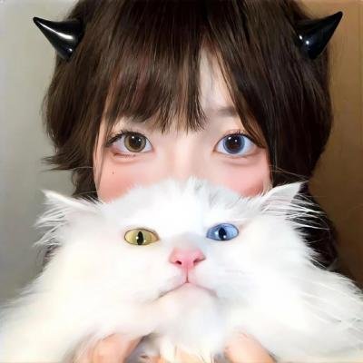 神偷艳贼